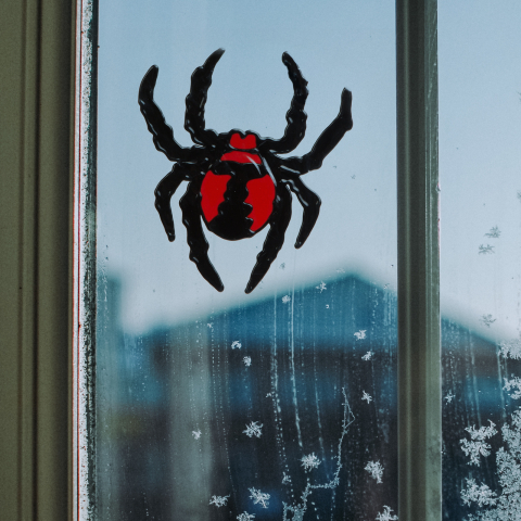 Halloween-i ablakdekor - pók